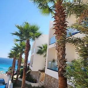 book here